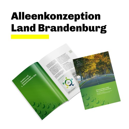 Wusstet ihr, dass Brandenburg das alleenreichste Bundesland ist? An dem insgesamt über 6000 Kilometer langen Straßennetz...